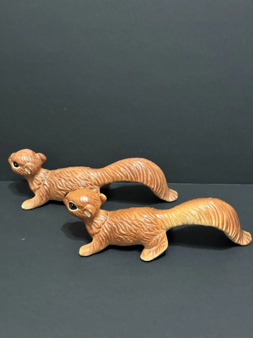 N/A norcrest squirrel